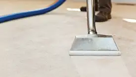 Carpet cleaning wand head gliding over a light carpet during hot-water extraction, Austin, TX.
