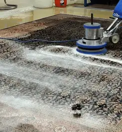 Professional rug cleaning with a rotary floor machine and shampoo foam, deep-cleaning an area rug Austin, TX.